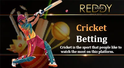 Cricket betting online at Reddy Anna Book platform